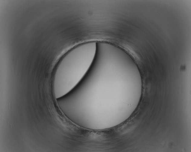 X0000093730346200710160818
