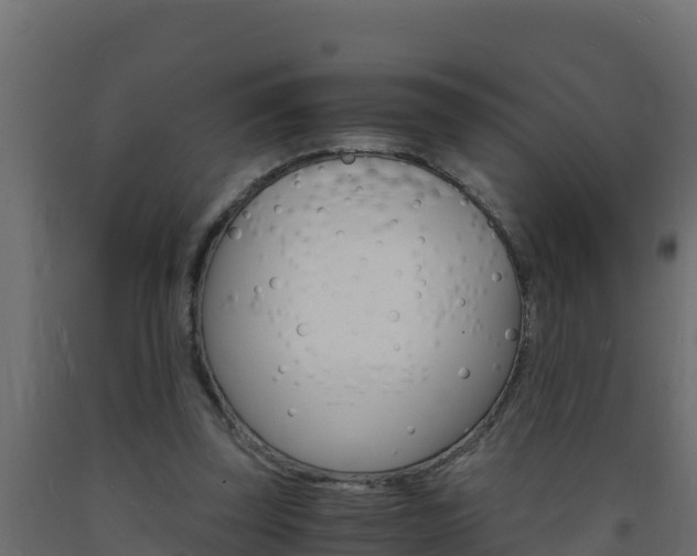 X0000093730347200710160818