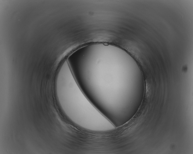 X0000093730348200710160818