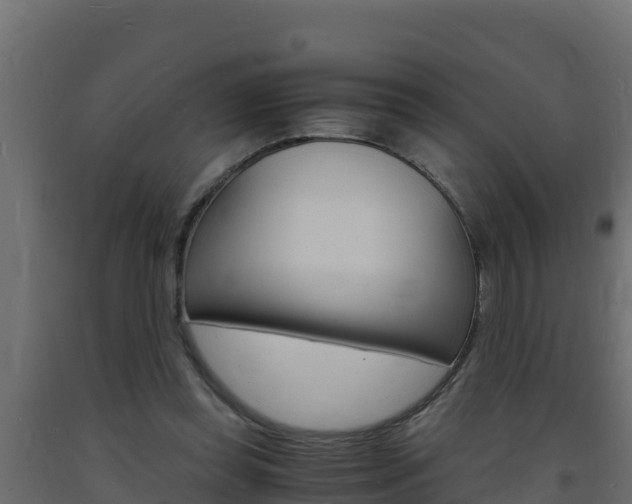 X0000093730349200710160818