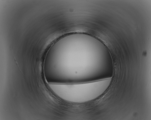X0000093730350200710160818