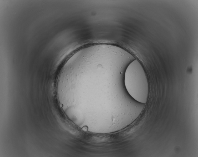 X0000093730351200710160818
