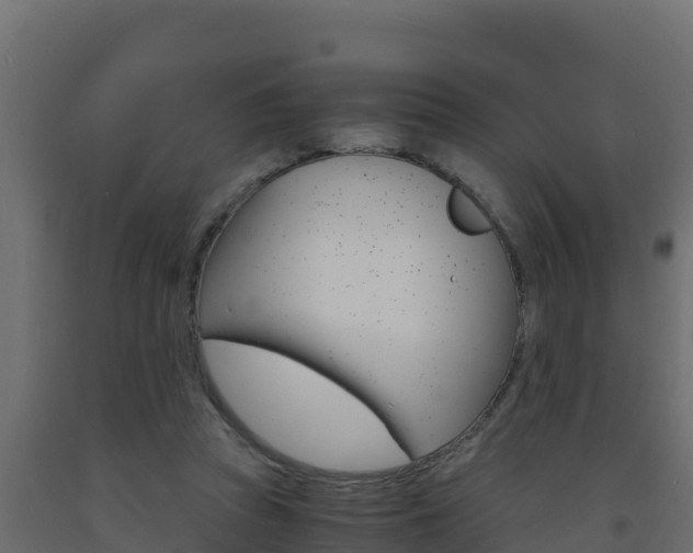 X0000093730353200710160818