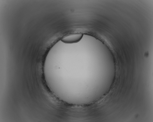 X0000093730354200710160818