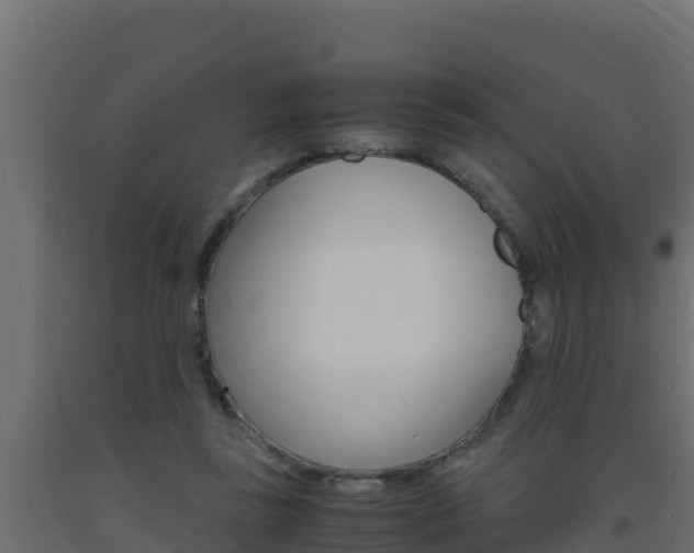 X0000093730355200710160818