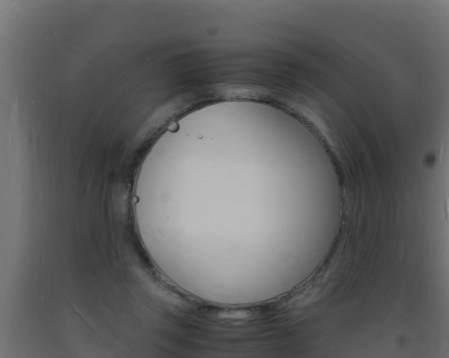 X0000093730357200710160819