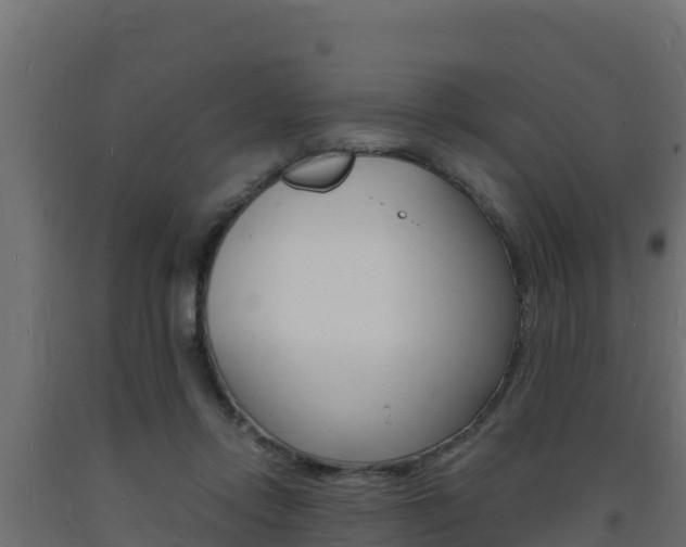 X0000093730358200710160819