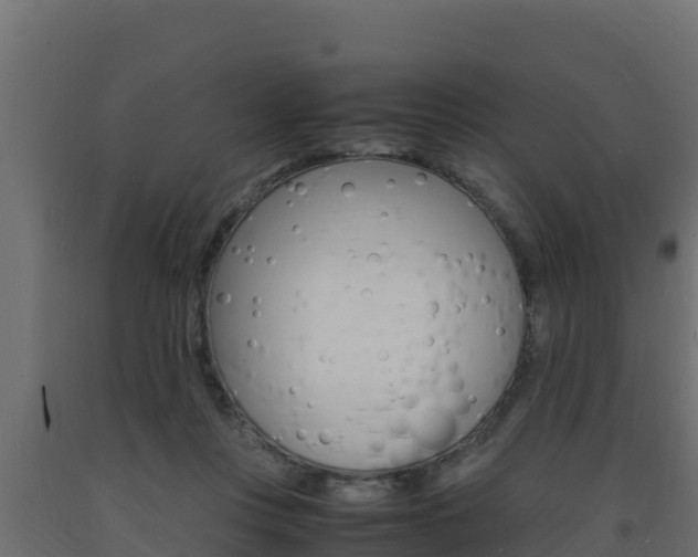 X0000093730359200710160819