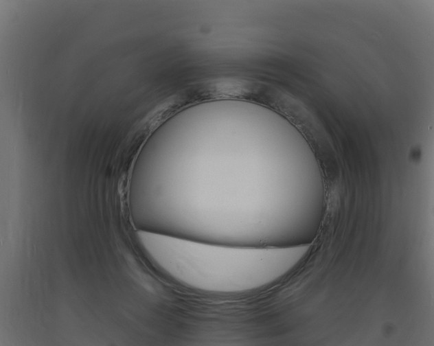 X0000093730360200710160819