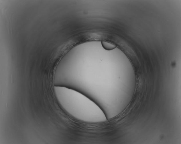 X0000093730361200710160819