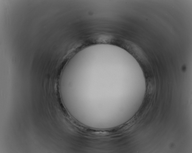 X0000093730363200710160819