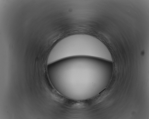 X0000093730364200710160819