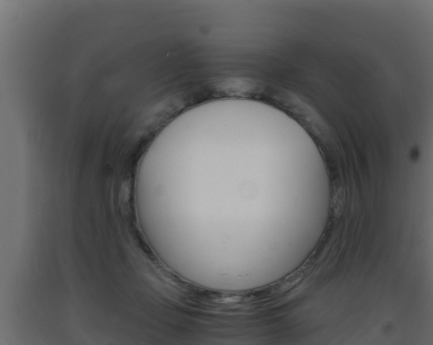 X0000093730365200710160819