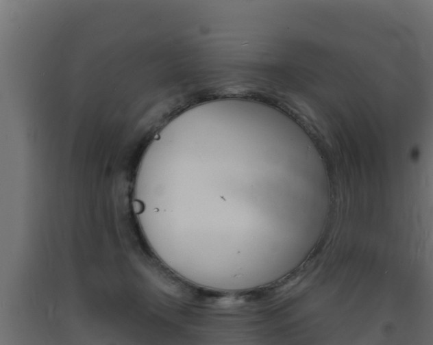 X0000093730366200710160819