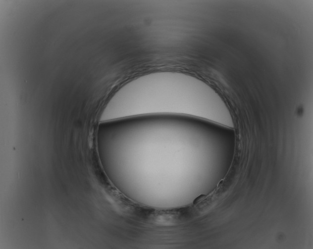 X0000093730368200710160819