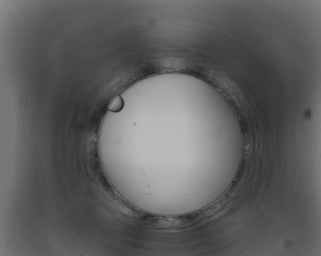 X0000093730369200710160819