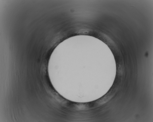 X0000093730370200710160819