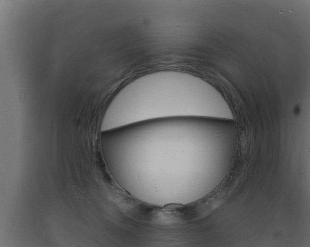 X0000093730372200710160819