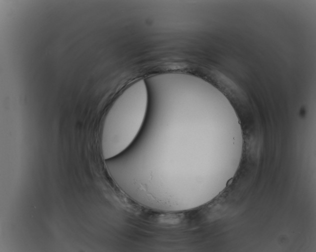 X0000093730373200710160819