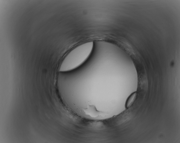 X0000093730374200710160819