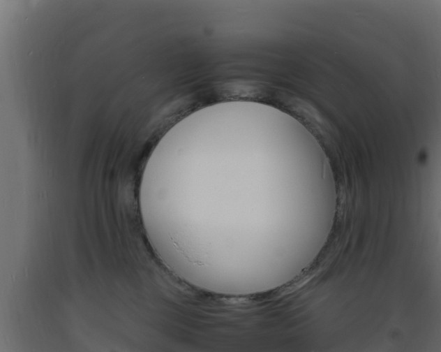 X0000093730377200710160819