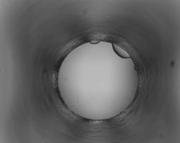 X0000093730378200710160819