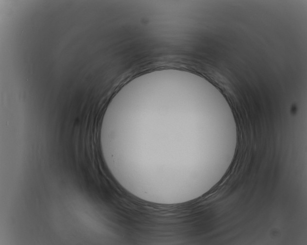 X0000093730382200710160819