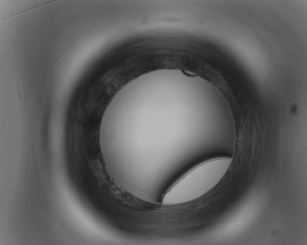 X0000093730383200710160819