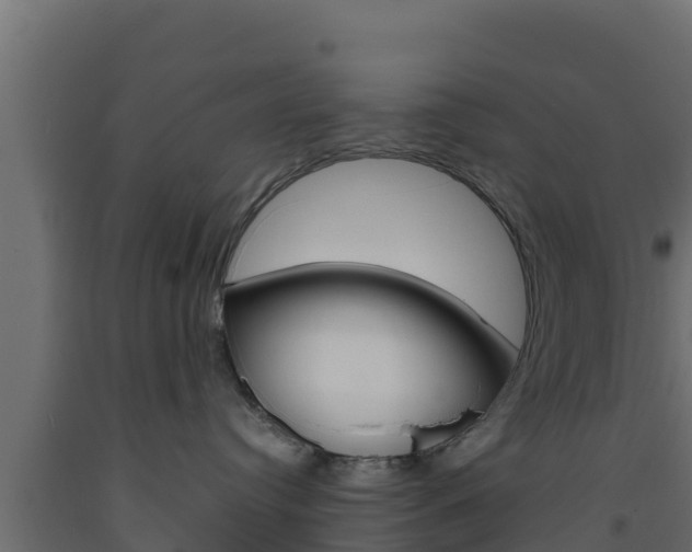X0000093730384200710160819