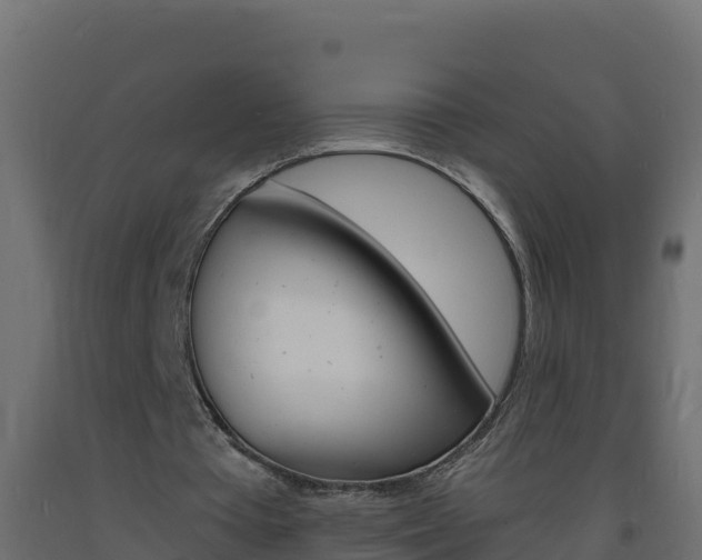 X0000093730385200710160818