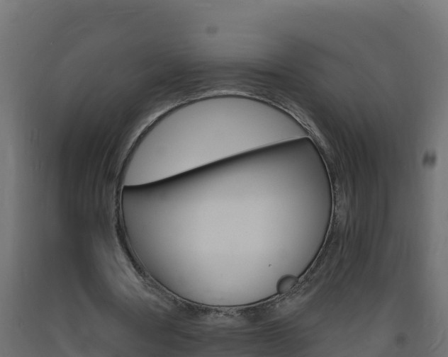 X0000093730386200710160818