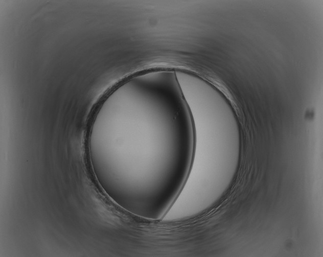 X0000093730387200710160818