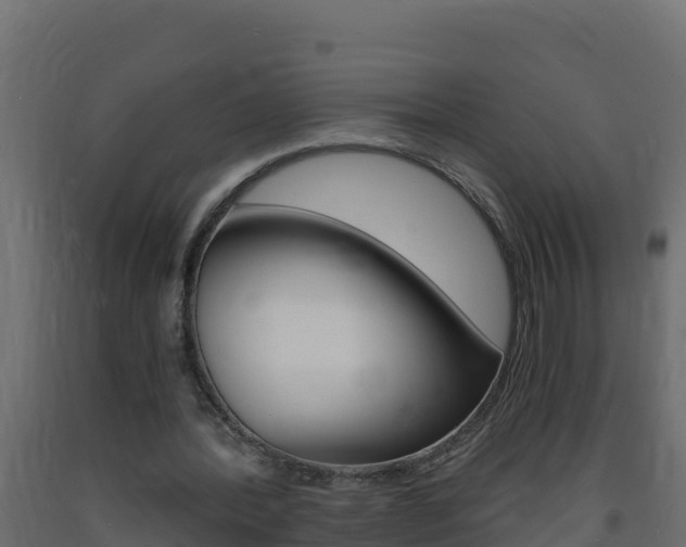 X0000093730388200710160818