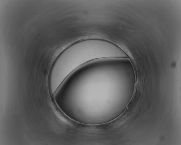 X0000093730389200710160818