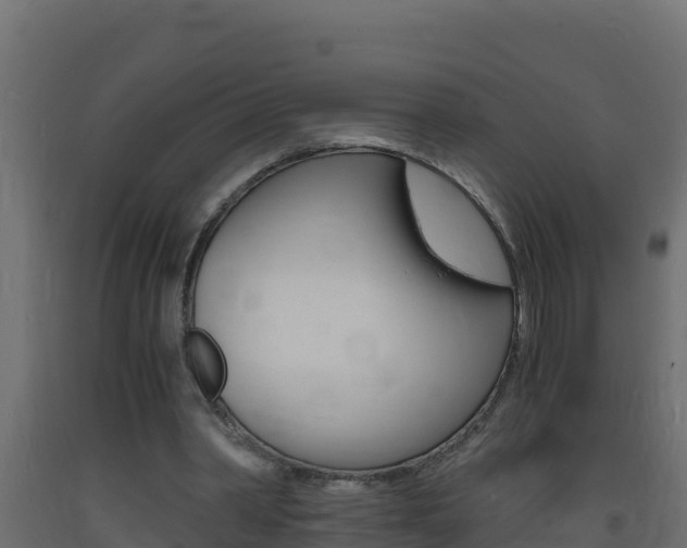 X0000093730390200710160818