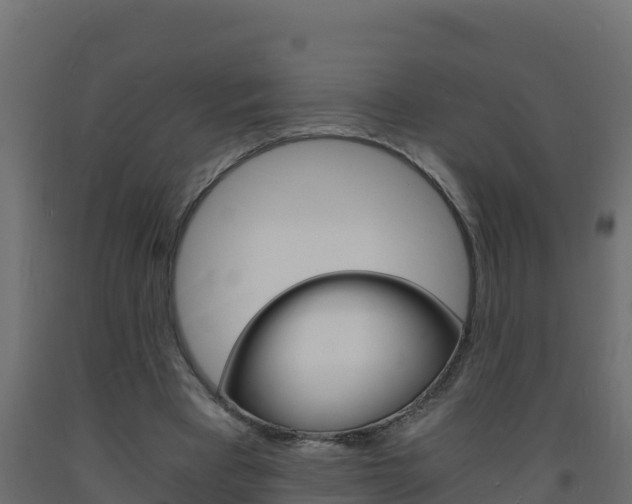X0000093730393200710160818