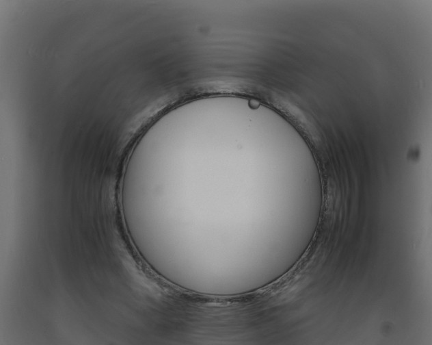 X0000093730394200710160818