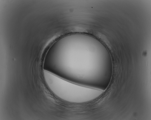 X0000093730395200710160818