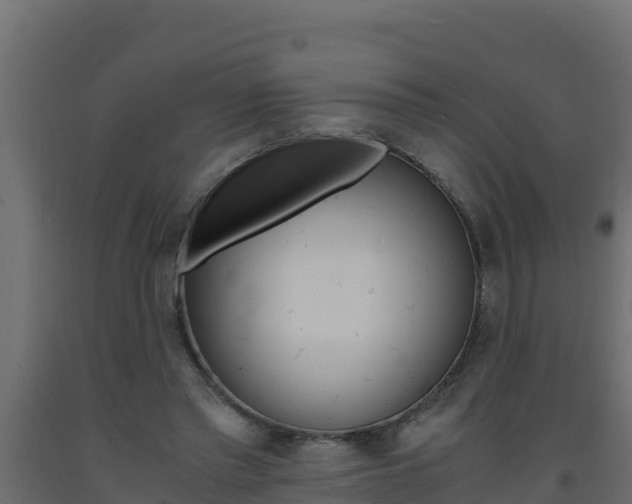 X0000093730397200710160818