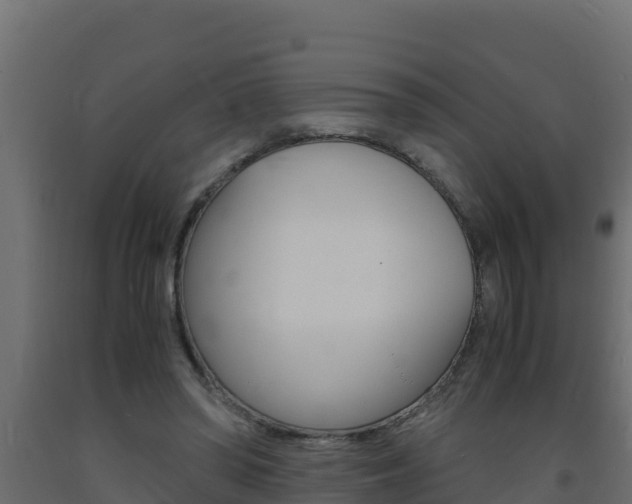 X0000093730398200710160818