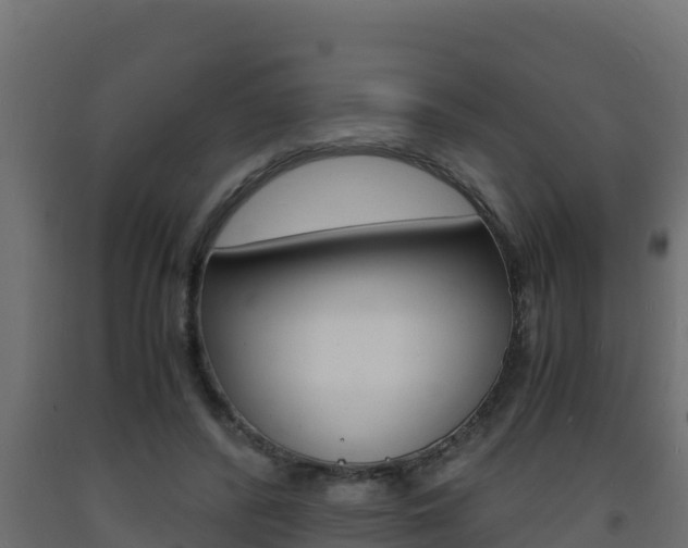 X0000093730400200710160818