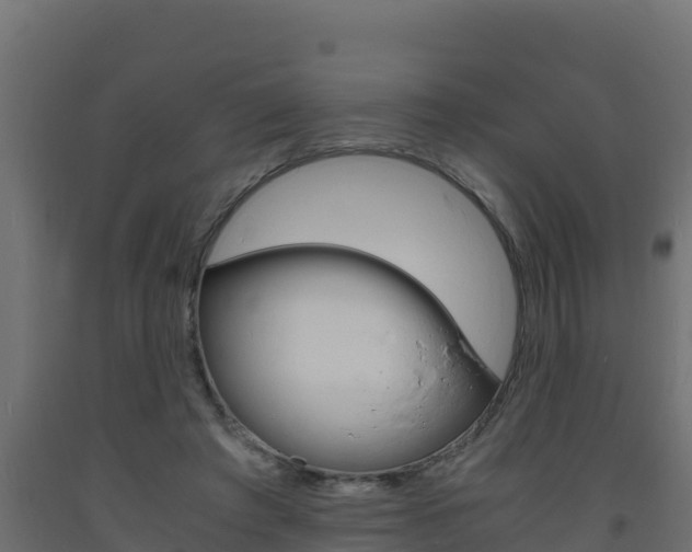 X0000093730401200710160818