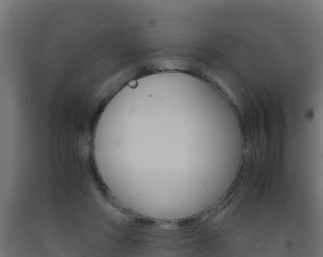 X0000093730402200710160818