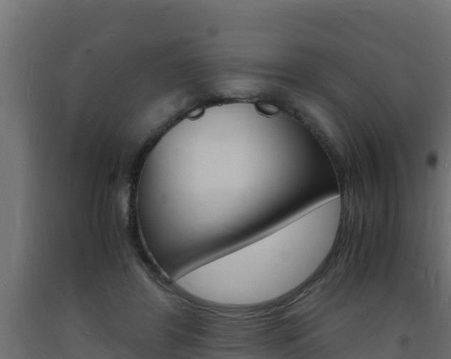X0000093730404200710160818