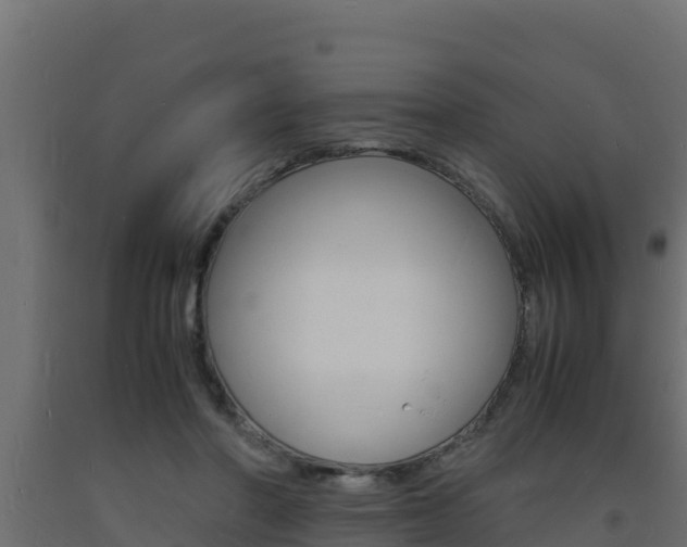X0000093730406200710160818