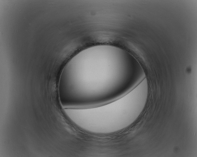 X0000093730407200710160818