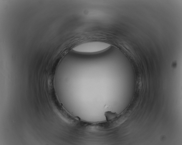 X0000093730408200710160818