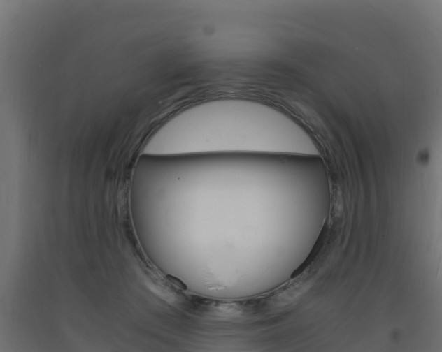 X0000093730409200710160818