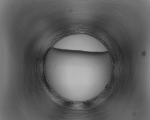 X0000093730410200710160818