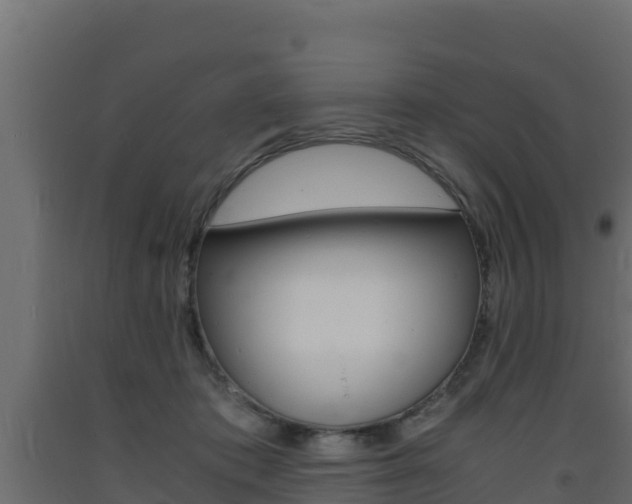 X0000093730413200710160818